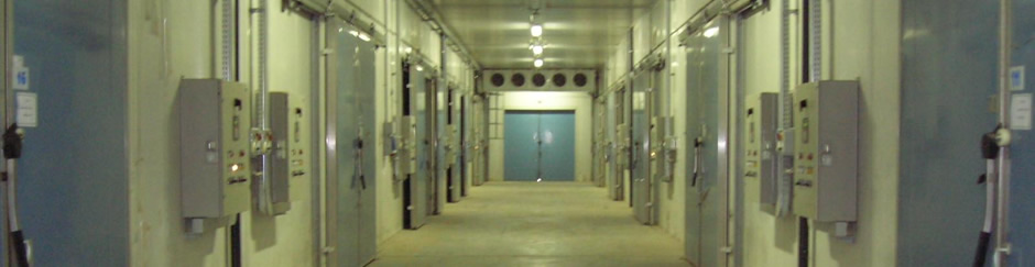 Cold storage